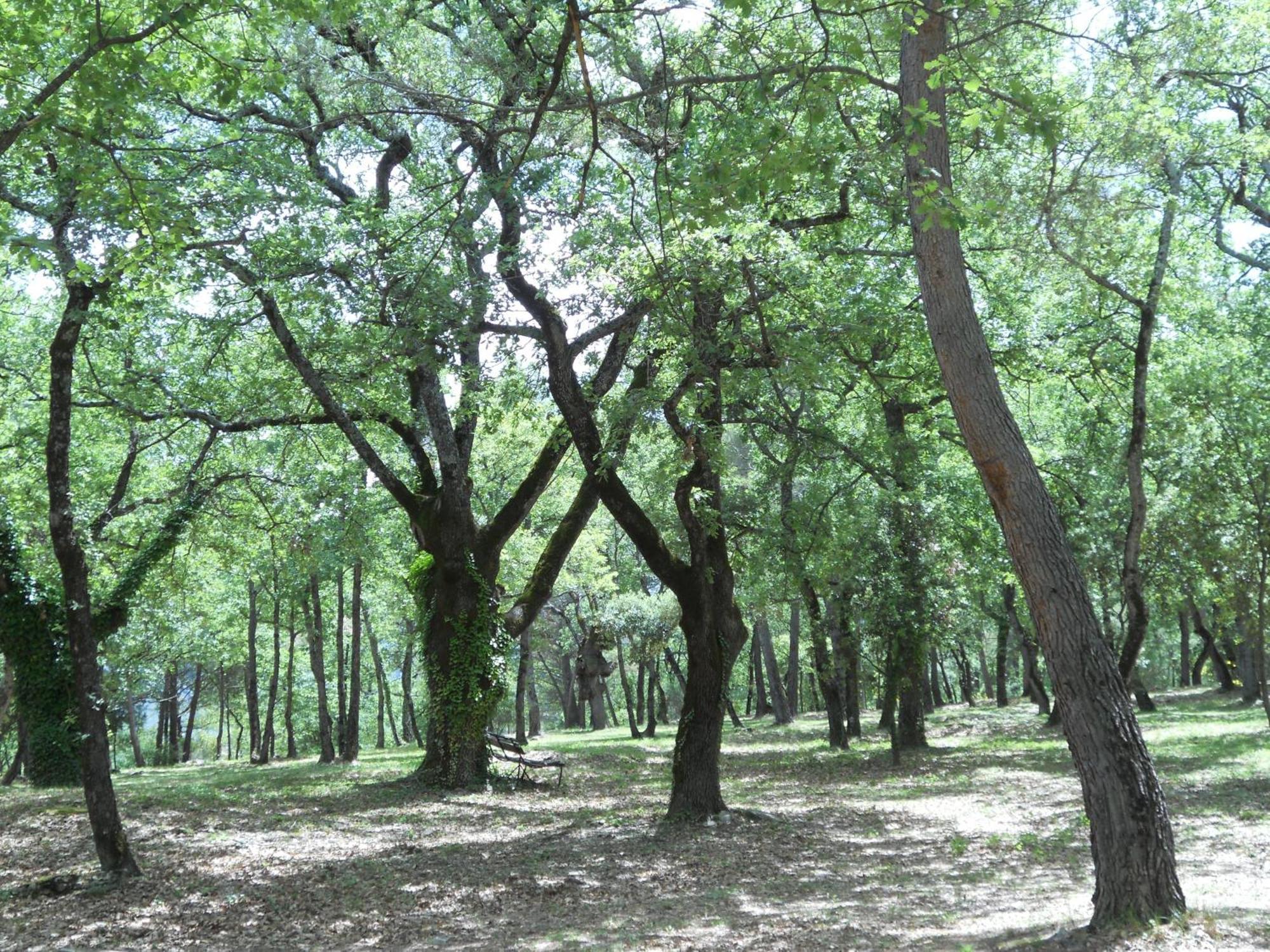 Le Mas De La Pinede Faucon  Екстериор снимка